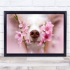 Pink chihuahua Nose Dog Dogs Scent Smell Fragranc Wall Art Print