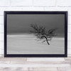 Tree Lonely Vast Landscape Black White Struggling Wall Art Print