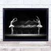 Ballerina Dancer Dancing Person Pose Action Show Wall Art Print