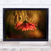 Garden Mantis Flower Macro Red Bokeh Nous Venons Wall Art Print