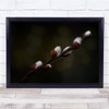 Spring Macro Brown Seasonal Botanical Twig Bokeh Wall Art Print