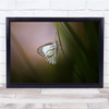 Butterfly Insect Macro Panorama Bokeh Soft Dawn Wall Art Print