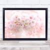 Cherry Blossom Blossoms High Key Flower Flowers Wall Art Print