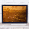 Golden lioness Wildlife Nature Animals Panorama Wall Art Print