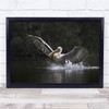 Working Hard Pelican landing water wings spread Wall Art Print