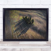 Aerial Above Landscape Trees Agriculture Field Wall Art Print