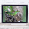 Basilisk Lizard Green Reptiles wildlife nature Wall Art Print