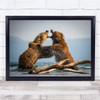 brown bears nature fighting animals aggressive Wall Art Print