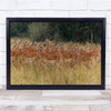 Eyes In The Crowd Wildlife Herd of Deer Animal Wall Art Print