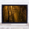 Forest Light Nature Landscape Ray Morning Gold Wall Art Print