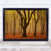 Forest Woods Trees Fog Morning Autumn The King Wall Art Print