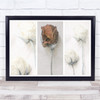 Memories Of Modest Emotion flowers rose floral Wall Art Print