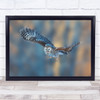 Owl flying down animal wing blur motion flight Wall Art Print