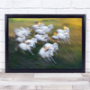 Panoramic Horses Motion Blur Action Flock Herd Wall Art Print