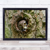 Wildlife Assaf Gavra Sun Owl peeking Tree Hole Wall Art Print