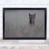 Animals Cats Feline Bokeh Beige Grass Curious Wall Art Print