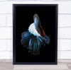 Bettafish Betta Fish Animals Background Macro Wall Art Print