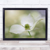 Flower Close Up Macro Summer Green Soft Bokeh Wall Art Print