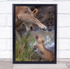 Behave, Son! Lioness and cub wildlife animal Wall Art Print