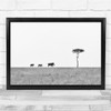 Boars Wild Black & White Tree Lonely Animals Wall Art Print