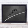 Monochrome Ants Macro Insects Fighting Bokeh Wall Art Print