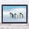 Stay Together Penguins snow mountain animals Wall Art Print