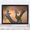 Wildlife Owls Wild Nature Animals Birds Eyes Wall Art Print