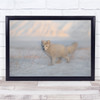 Winter still life Arctic Fox nature wildlife Wall Art Print