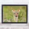 Animal Licking Nose Funny Tonge Pointy Ears Wall Art Print