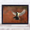 Bird Tit France Wings Flight Birds Wildlife Wall Art Print