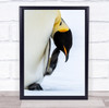 Birds Wildlife Antartica Scratching penguin Wall Art Print