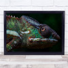 Chameleons Reptile close up nature wildlife Wall Art Print