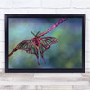 Landscape Stained Glass Moth Burgundy Macro Wall Art Print