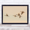 animals birds flying pale sky wings motion Wall Art Print