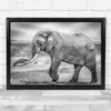 Elephants Majestic Wildlife Nature Animals Wall Art Print