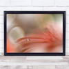 Flower Macro Droplet Soft Delicate Colours Wall Art Print