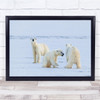 Wildlife Nature Animals Polar Bears Arctic Wall Art Print