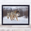 Wolves Animals Bokeh Snow nature landscape Wall Art Print