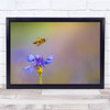 Bee Closeup Fly Flower Insect Macro Bokeh Wall Art Print