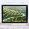 Green Landscape Curved Meandering Growing Wall Art Print