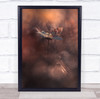 Macro Flower Butterfly Bokeh Pyrotechnics Wall Art Print