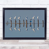 Seven Reflection Pole Birds Water Seagull Wall Art Print