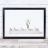 white minimal Plant Eggs Still life tulip Wall Art Print