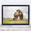 Wildlife Fight Marmots Wild Nature Animal Wall Art Print