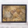 Cute Cub Cheetahs Mother caring cleaning Wall Art Print