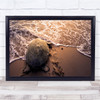 Beach Turtle Shell Water Sand Red Nature Wall Art Print