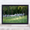 Horses Galloping Green Flock Herd brokeh Wall Art Print