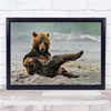 Kamchatka Nature Animals Wild Bears Cubs Wall Art Print