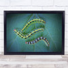 Orugas Caterpillars on leaf insects bugs Wall Art Print