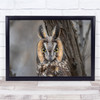 Owls Wildlife Birds Nature Bokeh Animals Wall Art Print